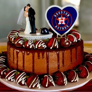 Houston Astros Cake Topper